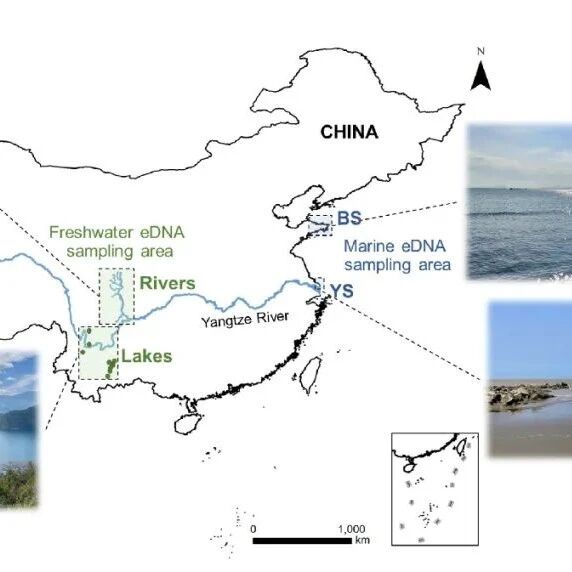 北京大学生态研究中心姚蒙研究组在《Methods in Ecology and Evolution》发表重要研究成果！