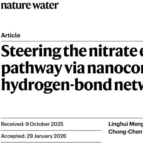 大连理工大学刘艳彪教授团队Nature Water：纳米限域重塑界面氢键网络，助力硝酸盐高选择性电还原制氨