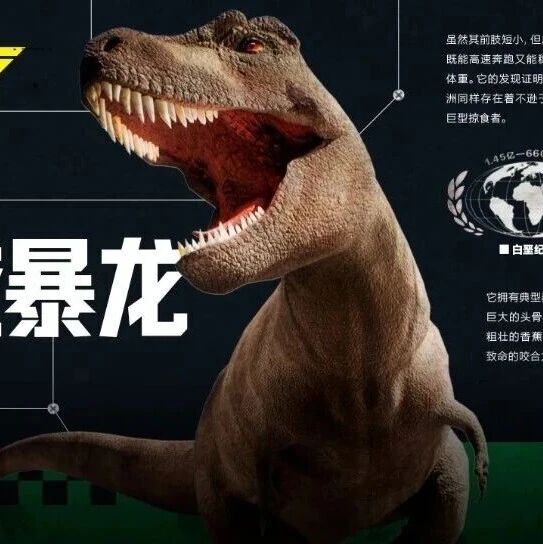 亚洲恐龙哪家强？山东诸城暴龙王！