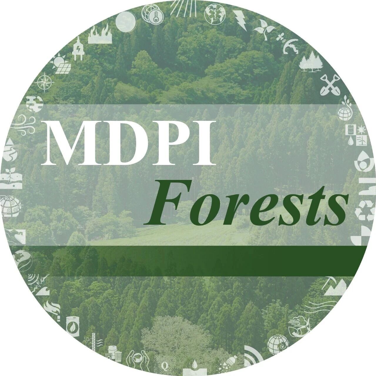 热处理和加速老化对云杉木化学成分、形态和性能的影响 | MDPI Forests
