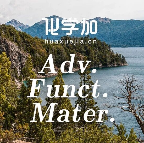 山东大学张茂杰教授团队在有机太阳能电池活性层形貌调控领域取得新进展