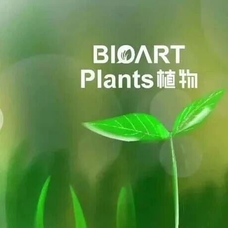 JIPB | 上海师范大学戴绍军课题组揭示FERONIA调控植物热形态建成的分子机制