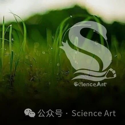 Nat plants | 南京农大袁军团队发现水稻根系通过分泌十七烷酸来吸引芽孢杆菌
