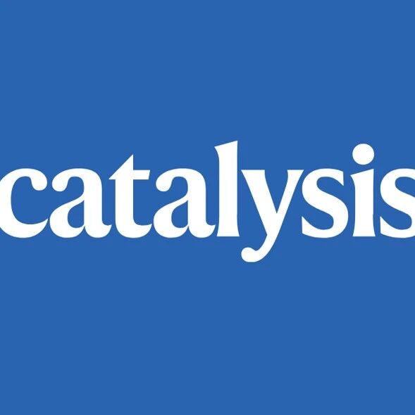 杨扬/刘鹏，最新Nature Catalysis！