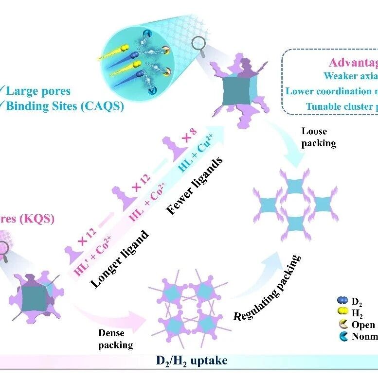 福建物构所Advanced Science：新型高性能D2/H2分离材料，合成策略！