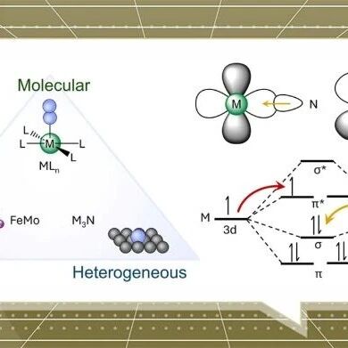 催化氮活化：从酶体系、分子体系到多相体系