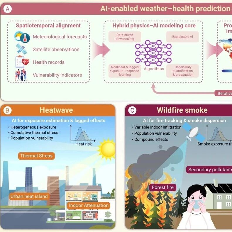 The Innovation | 从预测天气到预测健康：人工智能可否改变预警系统？