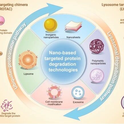 The Innovation Drug Discovery | 纳米靶向蛋白降解：开启蛋白降解疗法新时代