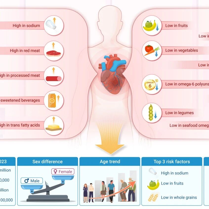 The Innovation Nutrition | 最新GBD数据揭示不健康饮食与心血管疾病的真相