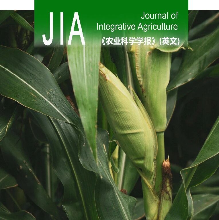 JIA | 中国农科院作科所郑军团队：无人机遥感技术助力玉米株高高通量测量与QTL定位