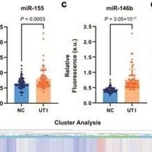 Adv Sci：上海交通大学王鹏飞等团队开发新型DNA传感器一链多能，快速“破案”诊断尿路感染