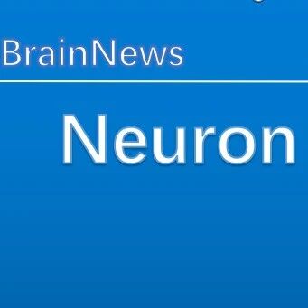 Neuron特邀长篇综述：北京脑所罗敏敏团队提出抑郁“病理吸引子” 神经环路新框架