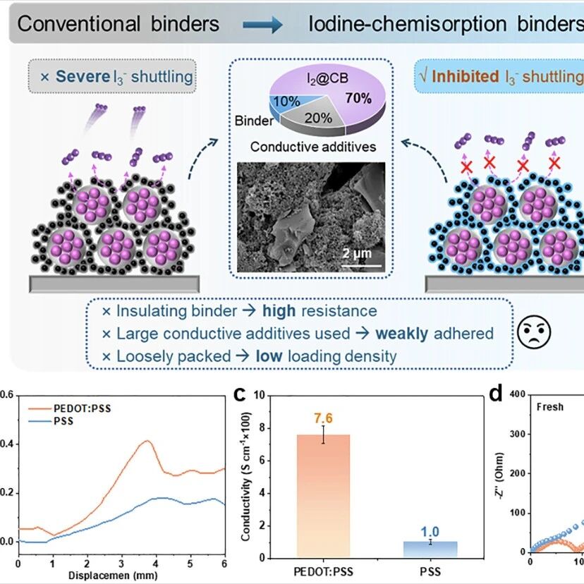 东莞理工陈敏/涂浩然&海南大学史晓东锌碘电池Energy Storage Materials：基于有机混合离子-电子导体粘结剂的无导电剂载碘正极设计
