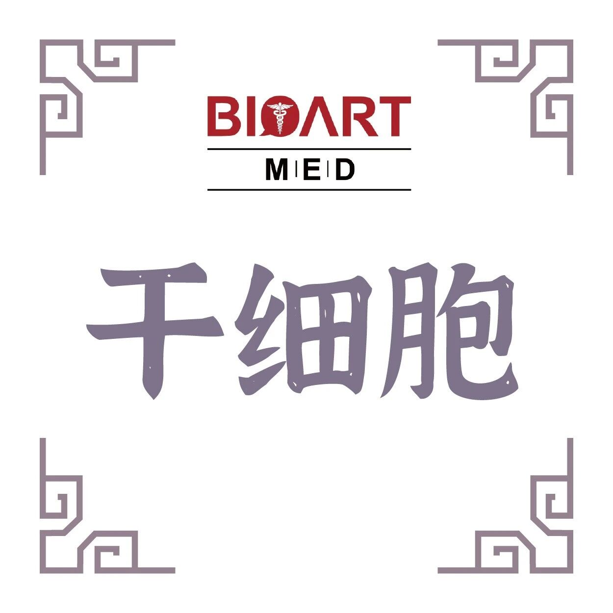 JCB丨建立体外多能干细胞模型—rfISCs