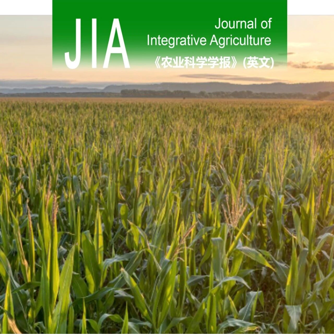 JIA | 山西农业大学杨治平研究员和李廷亮教授团队揭示黄土旱塬麦田土壤氮库稳定性低于磷库与钾库，且对小麦产量形成的影响更为显著