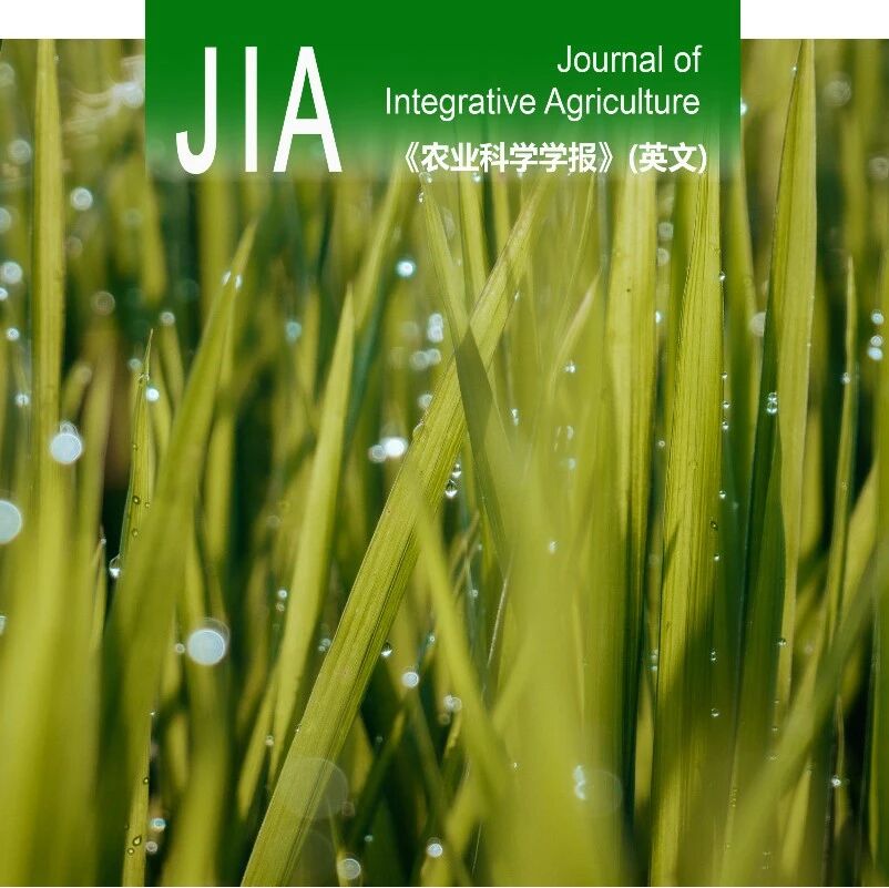 JIA | 湖南农业大学植物保护学院园艺病害团队揭示液泡-线粒体补片组分FvVam6参与调控轮枝镰孢菌生长发育和伏马毒素生物合成