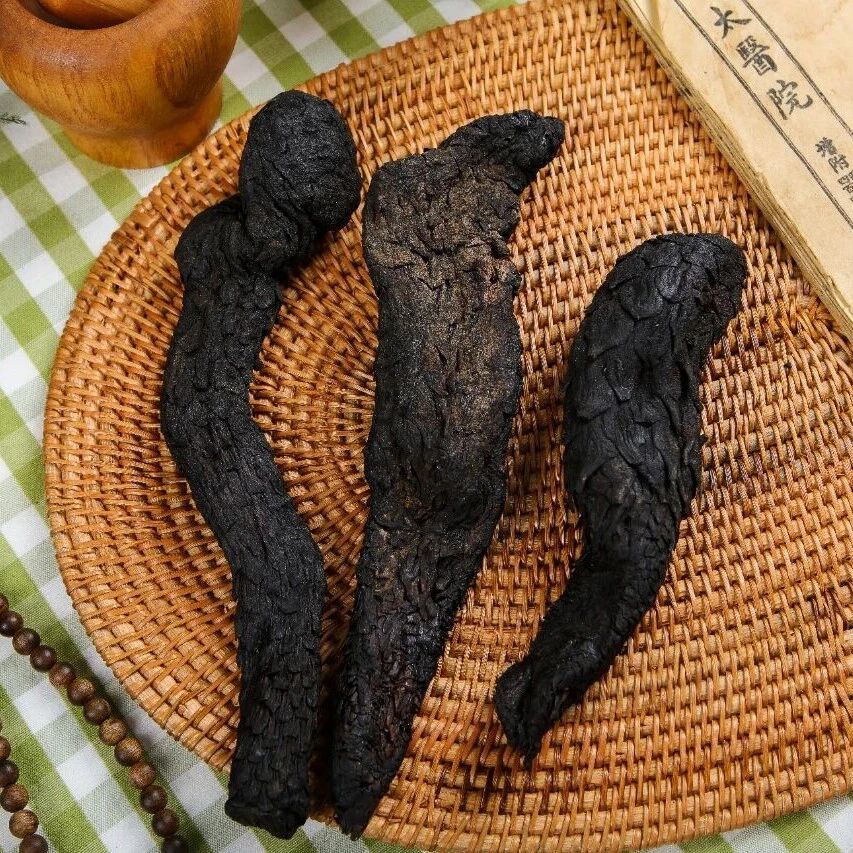 《食品科学》：中南林业科技大学任佳丽教授等：荒漠肉苁蓉活性成分的药理作用及质量影响因素