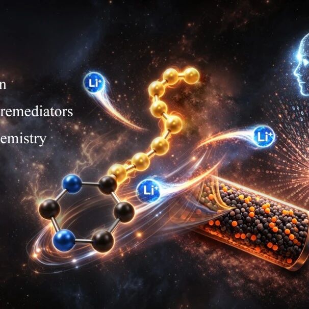 清华SIGS团队最新Nature：用“分子积木”搭出高比能锂硫电池