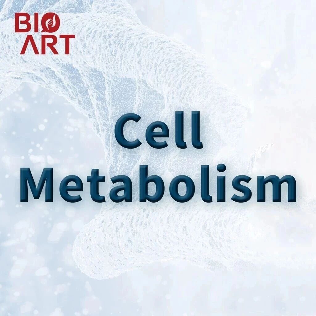 Cell Metab | GLP-1受体介导的司美格鲁肽护肝作用