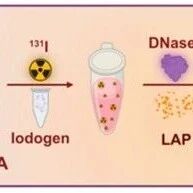 南通大学附属医院团队：告别短滞留、易耐药！¹³¹I-CMCSMA/DNase I放射性水凝胶为肿瘤放免治疗搭起“双保险”