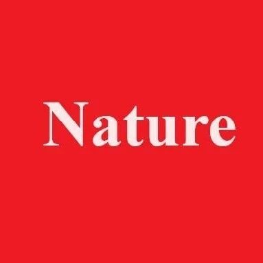 清华大学最新《Nature》：用“分子积木”搭出高比能锂硫电池！