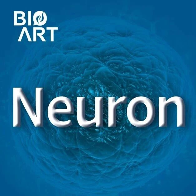 Neuron | 张志刚/蒋书恒团队揭示癌旁微环境驱动胰腺癌神经-肿瘤互作及癌痛机制