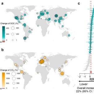 Nature Communications | 西北农林科技大学范利超教授团队在土壤动物蚂蚁调控土壤碳循环方面取得新进展