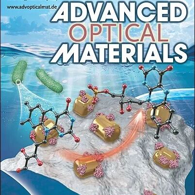 南京大学徐骏团队Adv. Optical Mater.：PEAI缺陷钝化，实现高效稳定硅基钙钛矿LED