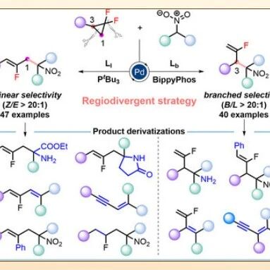 【Angew. Chem.】广西大学郁林/段文贵联合黄跟平/吕雷阳/李朝军：配体切换硝基烷烃的区域发散性氟代烯丙基化