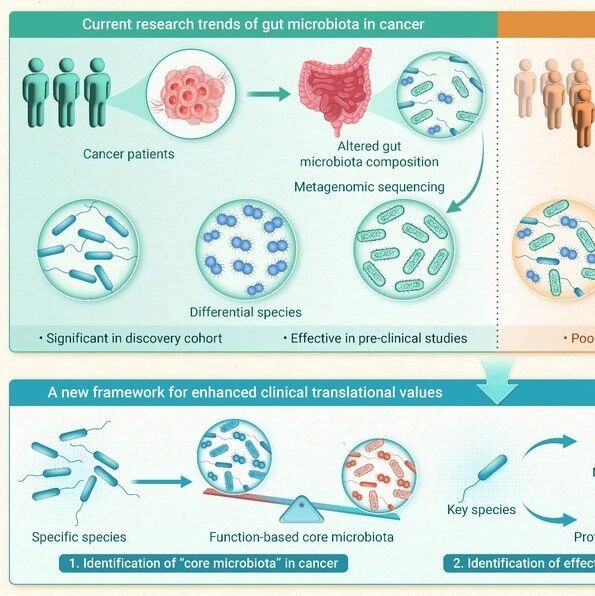The Innovation Oncology | 肠道菌群在癌症治疗临床转化中如何更进一步：从罗列“物种清单”到读懂“功能说明书”