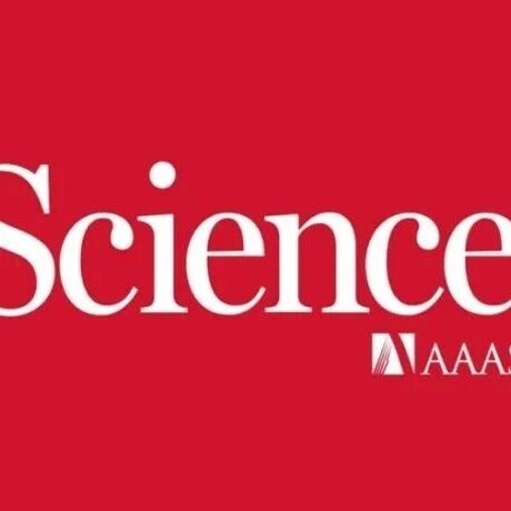 研究透视：强关联材料Lieb晶格-量子模拟 | Science