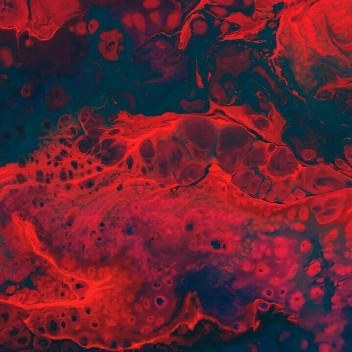 24小时热门｜Nature：华人团队开发“点击凝血”技术，实现快速止血和组织再生｜同样的体重、同样的BMI，为何有人病缠身，有人啥事没有？