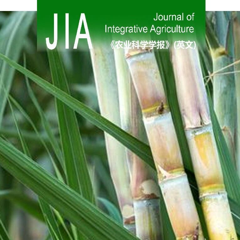 JIA｜云南省农业科学院甘蔗研究所联合海南大学三亚南繁研究院开展甘蔗蔗糖含量与茎径的全基因组关联研究
