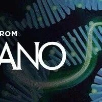 ACS Nano | 口服纳米药物的设计原则