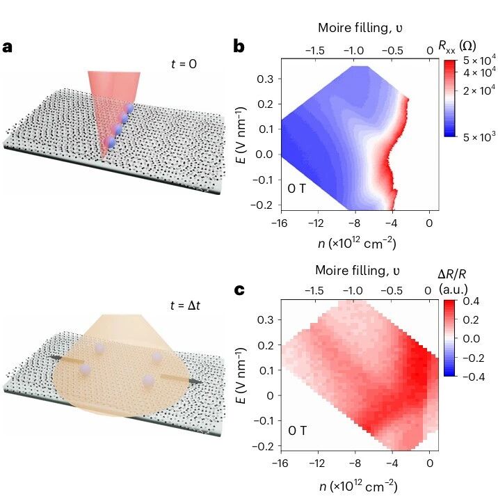 研究进展：金辰皓，超晶格WSe₂-自旋电子学/谷电子学 | Nature Physics