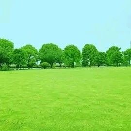 山东农业大学／湖南农业大学领导班子调整