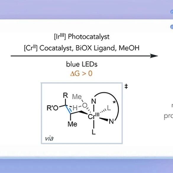 【JACS】美国普林斯顿大学Robert R. Knowles课题组：对映选择性反热力学烯烃异构化反应