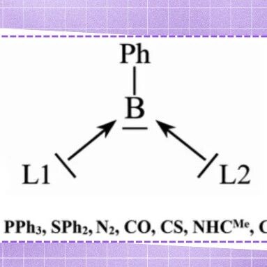 【Angew. Chem.】南京工业大学赵莉莉课题组：同配型与异配型borylones L1-B(Ph)-L2: 理论预测与实验挑战