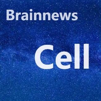 Cell：3 天快速抗抑郁！aiTBS的核心神经环路被揭开