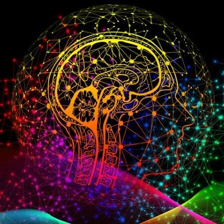 Advanced Science 2026青年科学家创新奖开放申请