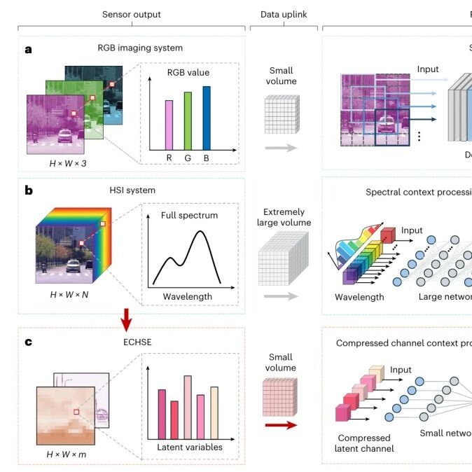 研究进展：电致变色-机器视觉，感内计算 | Nature Sensors