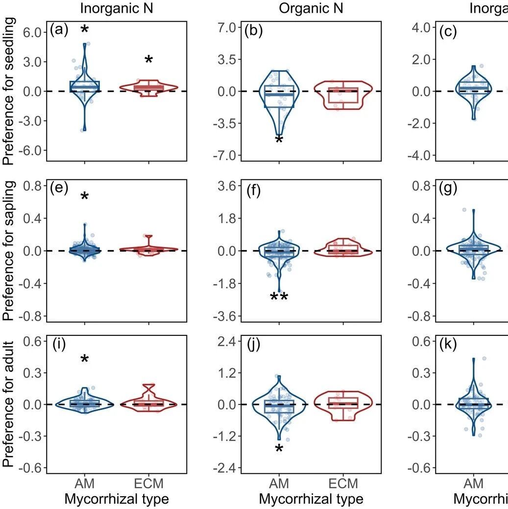 Journal of Ecology | 中山大学刘徐兵教授团队揭示不同菌根类型树种土壤养分偏好的个体发育可塑性调控亚热带物种共存和群落构建