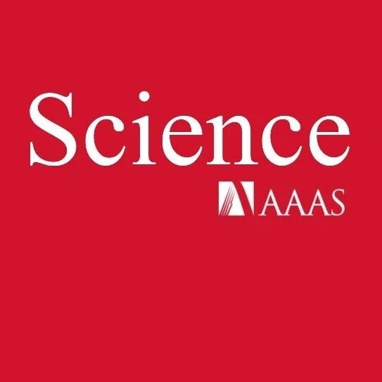 二茂铁类似物，Science！