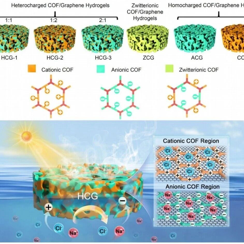 南京工业大学/柏林工业大学最新Advanced Science：COF/石墨烯水凝胶，实现耐盐性太阳能蒸发!