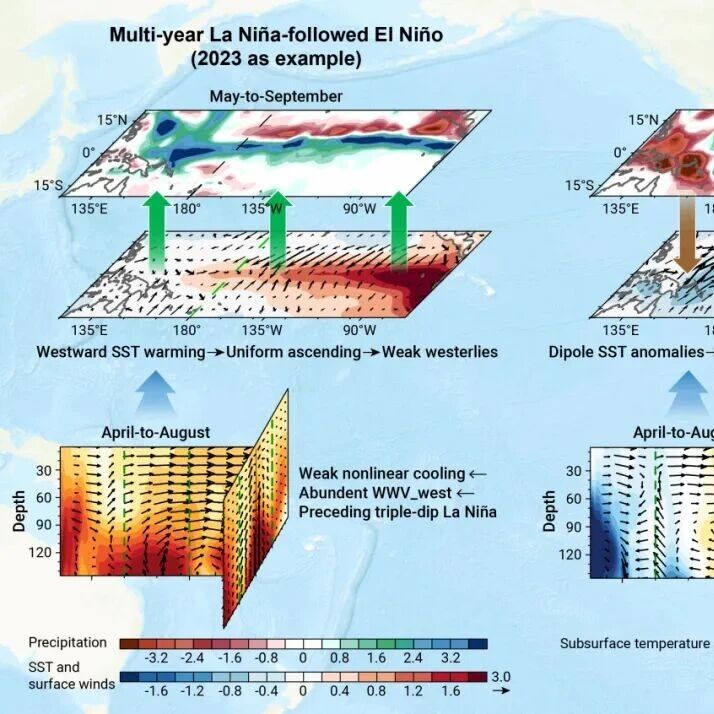 The Innovation Geoscience | 热带太平洋局地机制揭示2023强厄尔尼诺“强海温、弱西风”之谜