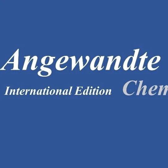 Angew：阳离子如何“牵线搭桥”硝酸盐电还原产氨？——我们关于碱金属阳离子调控界面中间体偶联的思考
