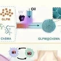 Adv Sci | 华侨大学傅超萍团队开发新的水凝胶微球用于骨关节炎的协同治疗