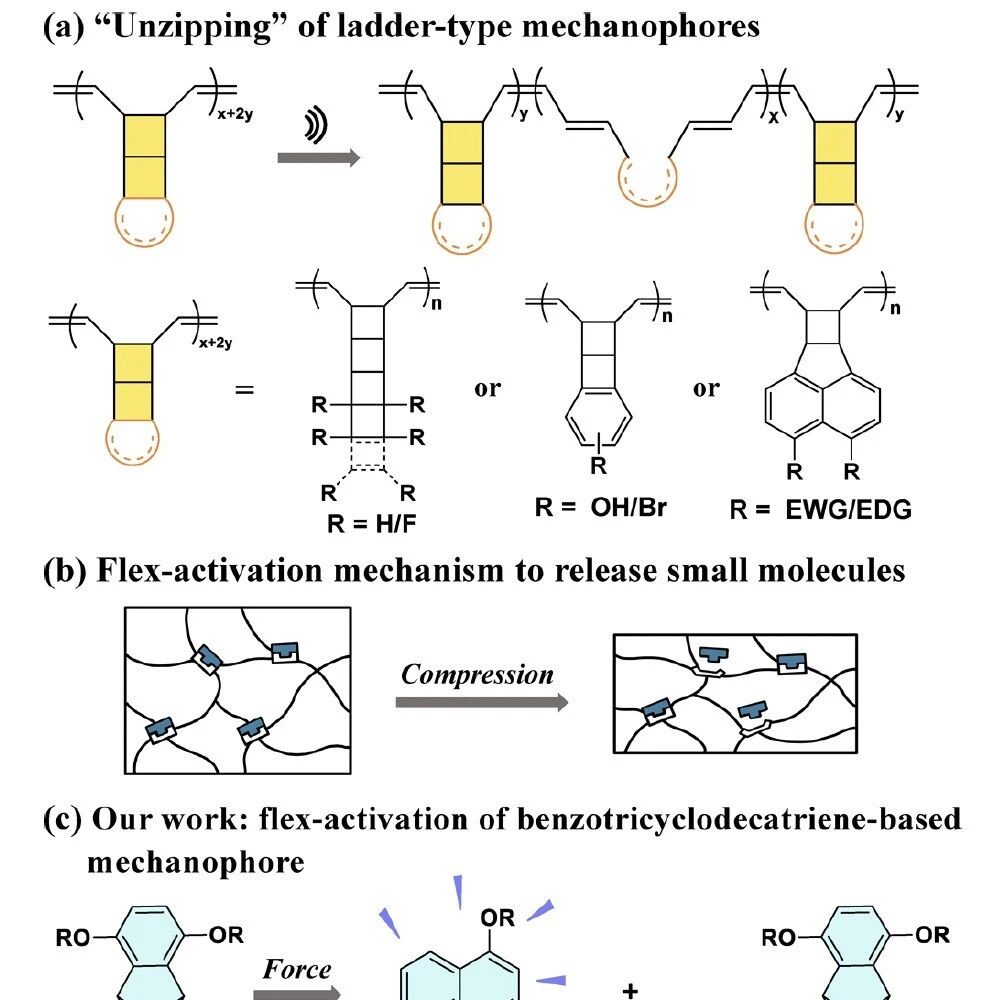 苏州大学张正彪/沈行团队 JACS：柔性活化策略用于机械力化学合成共轭聚合物并同步释放荧光小分子