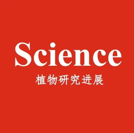 青年教师，以第一作者身份发表Science正刊！