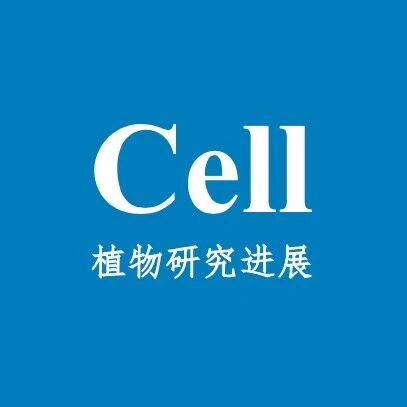 黄三文院士发表《Cell》